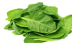 spinach