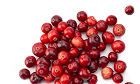 cranberry